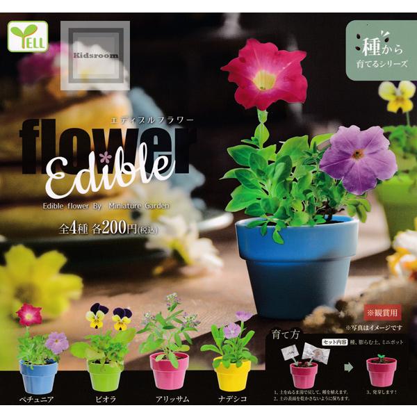 エディブルフラワー 全4種セット ガチャ ガシャ コンプリート G キッズルーム 通販 Yahoo ショッピング