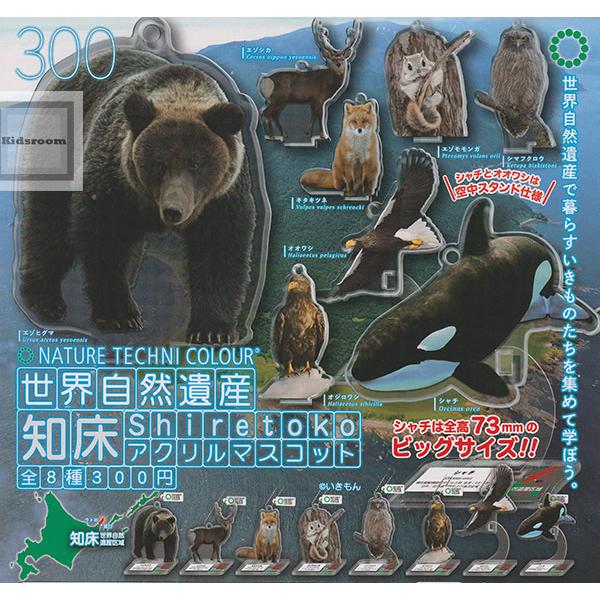 ネイチャーテクニカラー 世界自然遺産 知床 アクリルマスコット 全8種