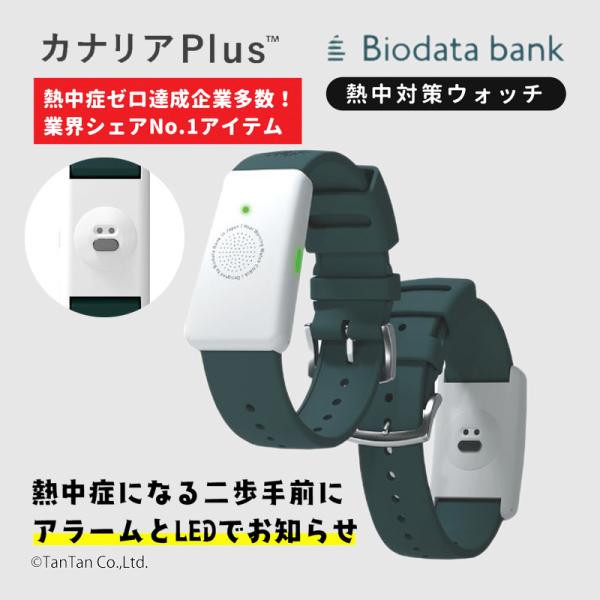 熱中症対策ウォッチ　カナリア　4個セット n25-08.jpg