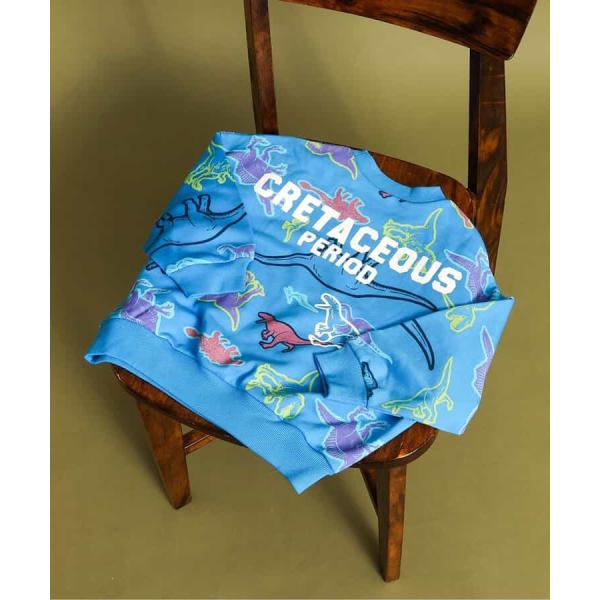 福井恐竜博物館 トレーナー スエット スウェット 恐竜 裏毛 あったかい あたたかい インナー トップス カットソー キッズ 男の子 女の子 カジュアル お洒落 オシャレ かわいい 可愛い 普段着 デイリーウェア お出かけ着 かっこいい 長...