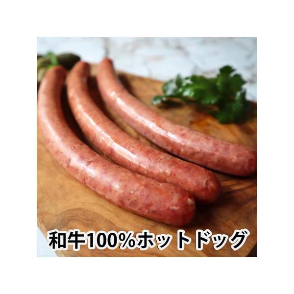 kielbasa-japan_wagyuhotdogs3