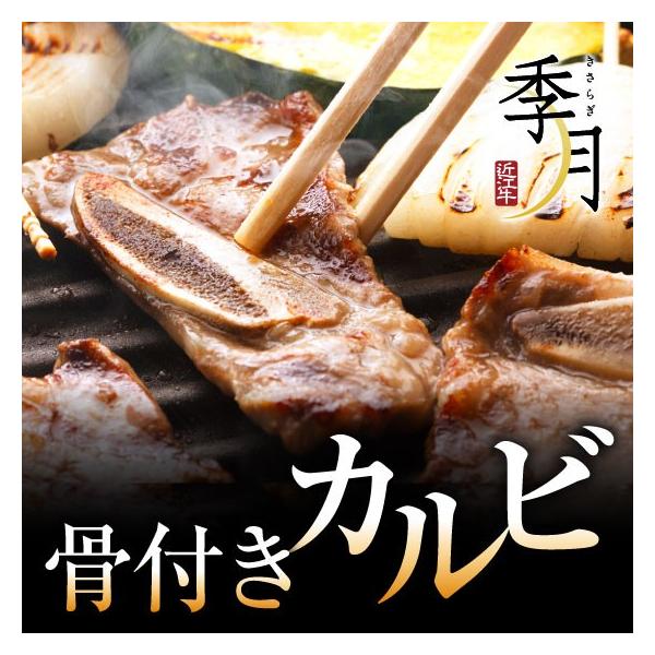 ē  o[xL[ BBQ tJr 500g Lv  ēp[eB[ 