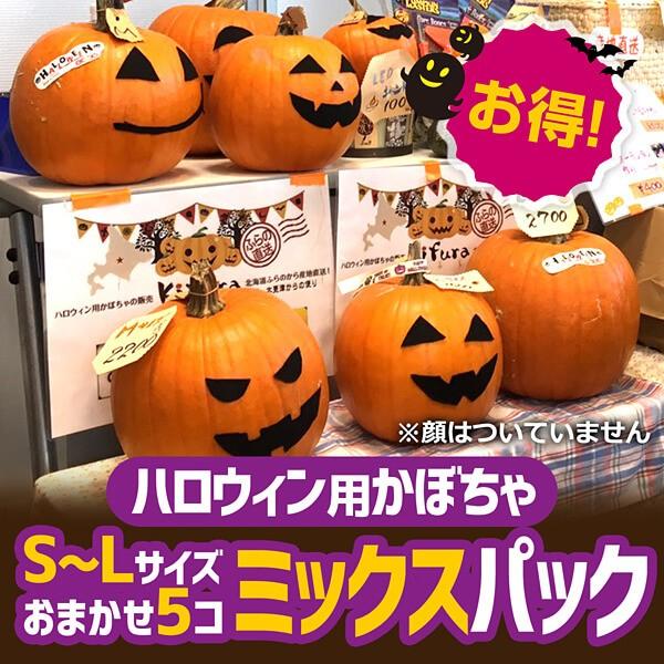 ハロウィン用かぼちゃ S L サイズいろいろミックス5個セット 税込 送料込み Pumpkin005 ハロウィンかぼちゃ販売 きふら 通販 Yahoo ショッピング