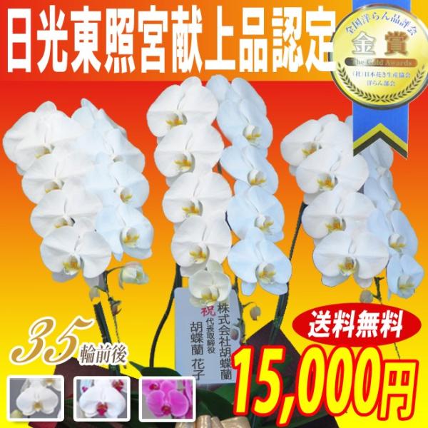 Ӓ@ R{ 35֑O   15,000~@j Mtg  JXj z