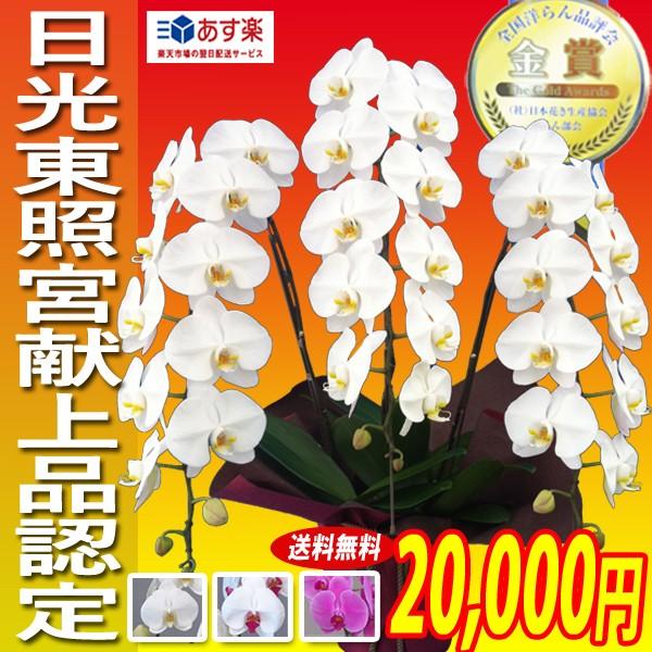 Ӓ@ւR{@20,000~  IׂRF  sN ԃbv@ p j Mtg  38֑O