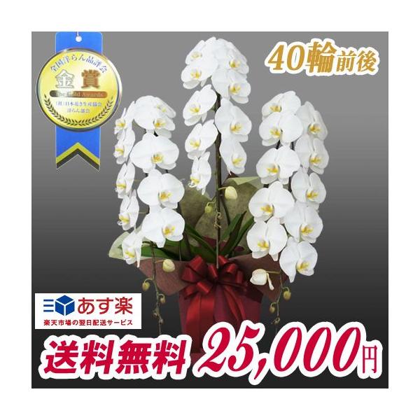 hVMtg Ӓ@ R{@ 25,000~@  IׂRF  sN ԃbv@ p j Mtg @40֑O