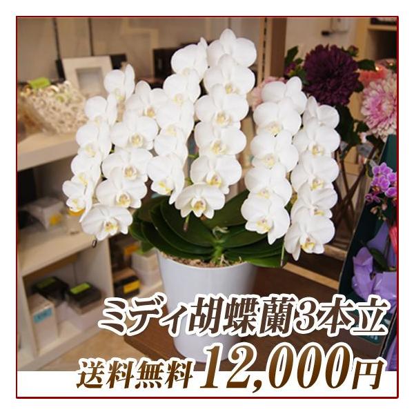 hVMtg Ӓ@~fB@3{@@p j Mtg 