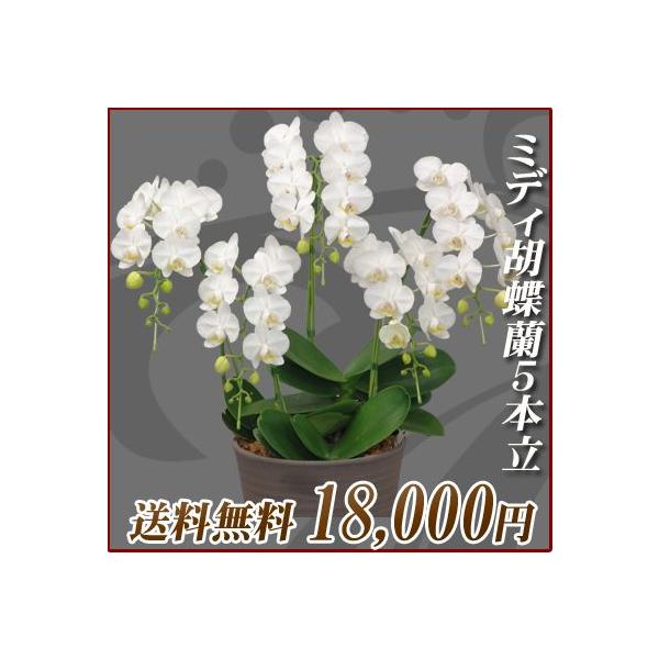 hVMtg Ӓ@~fB@5{@@p j Mtg 