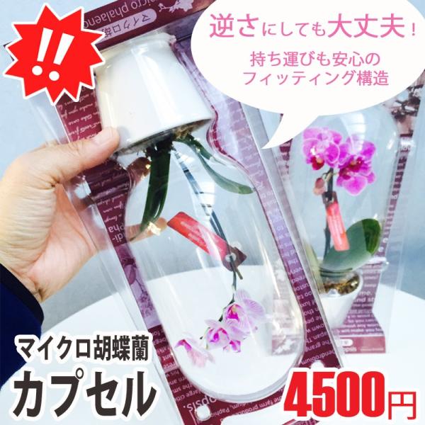 yhVMtgzŖm̃}CNӒP{uJvZv