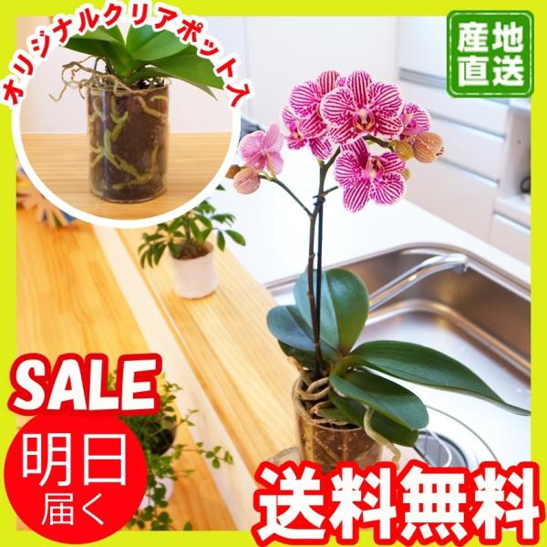 JWAӒ(R`E)uin your roomvSingle(1{)~jE~fB}CNӒ@VO