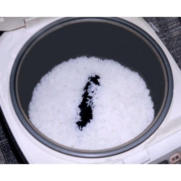 炊飯・浄水浄水用備長炭 （170g入り） 湯沸かしポットにも、水差しにも。   いつものご飯が、水がさらにおいしく。入れるだけで、びっくりするほど美味しくなる紀州備長炭！プレミア和歌山認定品（和歌山県優良推奨産品）○炊飯用にはお米を炊くとき...