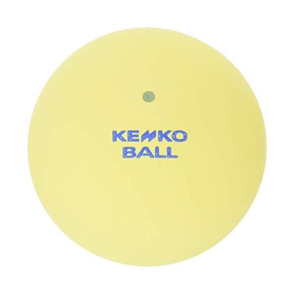 他サイト： ナガセケンコー(KENKO) ケンコーボール ナガセケンコー ケンコーソフトテニスボール スタンダード イエロー 2個 TSSY-Vの商品画像