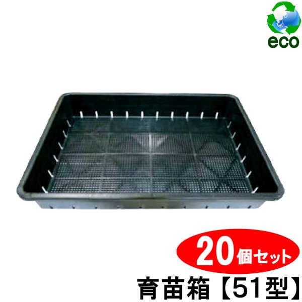 育苗箱 苗箱 苗 肥料 根 根離れ 通水性 種 たね タネ さし木 さし芽
