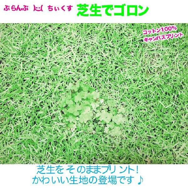 生地ぷらんぷちいくす芝生でゴロン10番キャンバス 50cm単位販売 Buyee Buyee 提供一站式最全面最專業現地yahoo Japan拍賣代bid代拍代購服務