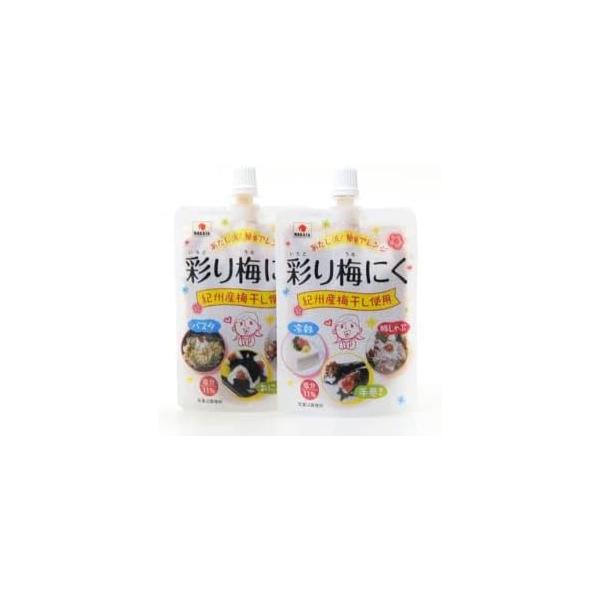 梅肉 練り梅 紀州産 彩り梅にく 90g 中田食品 ねり梅干し 梅干 うめぼし おにぎり ドレッシング 薬味 スパウトタイプ