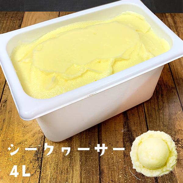 ꌧY V[N[T[ACX 4L Xm[O[ ACXN[ XC[c  yY