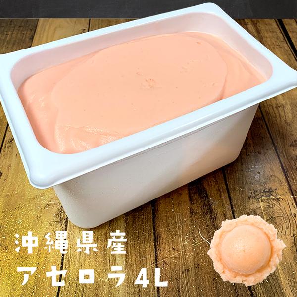 ꌧY AZACX 4L Xm[O[ ACXN[ XC[c  yY