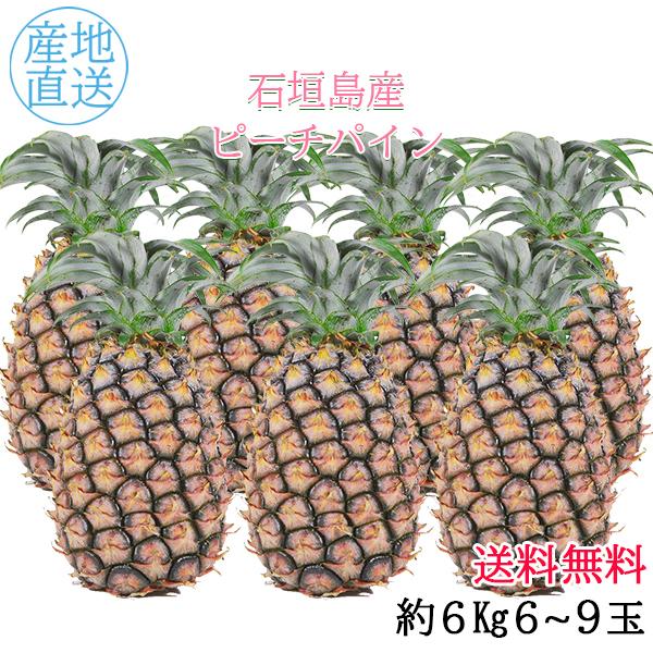 沖縄 石垣島産 ピーチパイン 6kg 6 9玉 フルーツギフト Ip P003 喜島商店 通販 Yahoo ショッピング