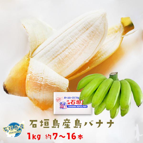 石垣産大物！島バナナ丸ごと
