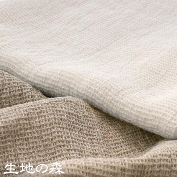 kijinomori_in50256-