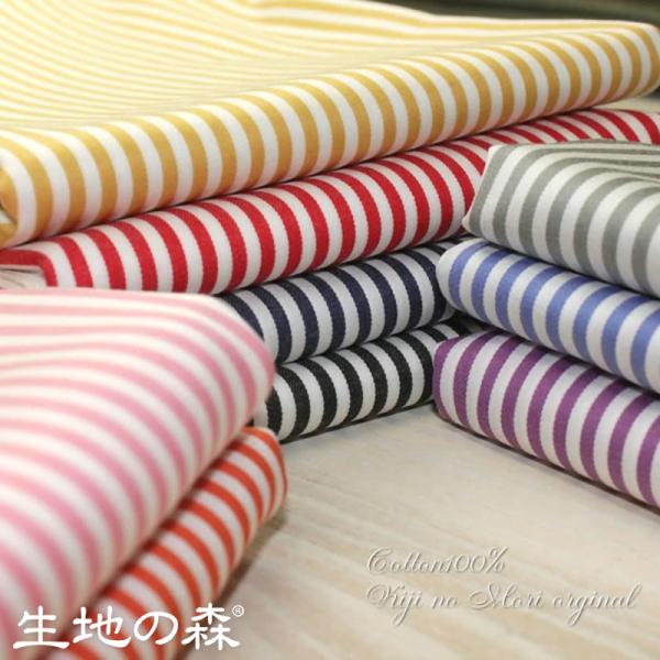 n̐X | GWvgR[}gp߃cC~jXgCv