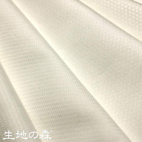 n̐X | R[}gpRbghr[V[Y