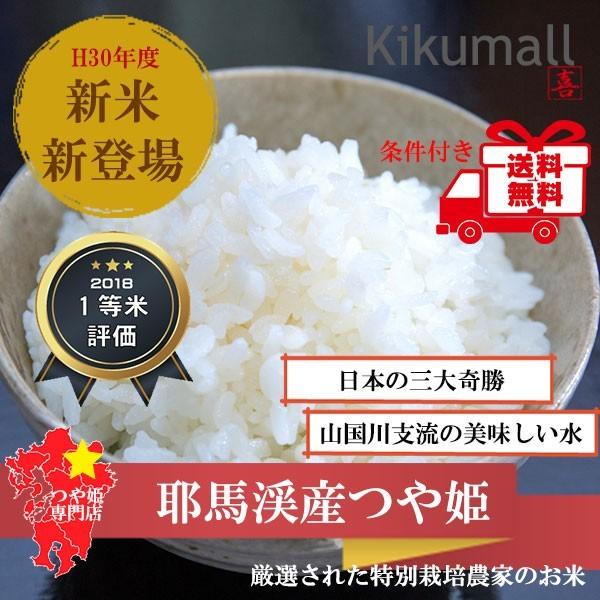 つや姫 玄米5kg 30年産大分県耶馬渓の源流育ち山間地の棚田で育てられた特別栽培米 Buyee Buyee 提供一站式最全面最專業現地yahoo Japan拍賣代bid代拍代購服務