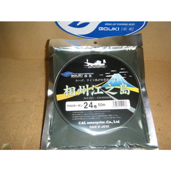 剛樹 フロロカーボンハリス 黒潮狩人 相州江之島24号 50M 釣職人の究