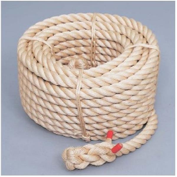 個人宅様への配送が不可の為、お届け先は屋号でお願いいたします。運動会　綱引き●重さ/約33kg　●両端サツマ加工済●送料/別途見積こちらの商品はお取り寄せ商品になります。お届けまでに約10日程度お時間を頂戴しております。メーカー欠品時は長期...