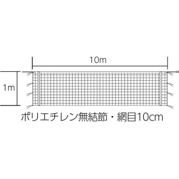 kikyoya-honten_b-2846 kikyoya-honten_b-2846