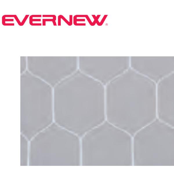 EVERNEW　エバニュー　サッカー　ジュニアサッカーゴールネット亀甲J113　2枚1組　EKD851　(送料無料)　