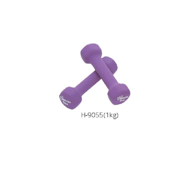 (個人宅配送不可)(送料別) トーエイライト TOEILIGHT  ラバーコートダンベル１ H-9055