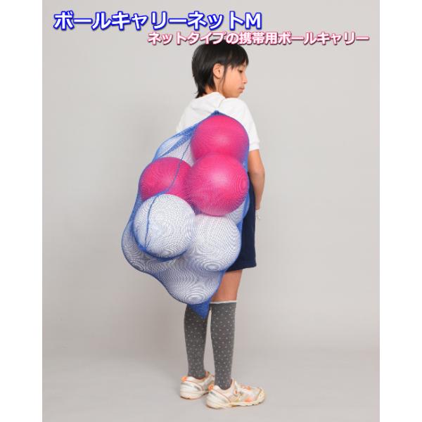 ●ネットタイプの携帯用ボールキャリーです。●折りたたむと持ち運びが楽です。●材質/ナイロン●寸法/幅64cm×奥行81cm×厚さ1cm●質量/80g　●ボール約8〜10個収納●送料/2クラス※商品にボールは含まれておりません。
