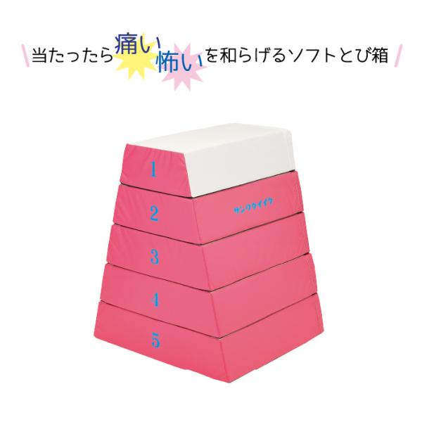 こちらの商品は法人様限定になります。送り先は屋号でお願い致します。●色：ピンク●下幅85（上幅35）×奥行80×高さ100ｃｍ●43ｋｇ●外被：ターポリン　頭部：エステル帆布（抗菌・防臭・防カビ）加工　芯材：特殊ウレタン●各段マジックテープ...