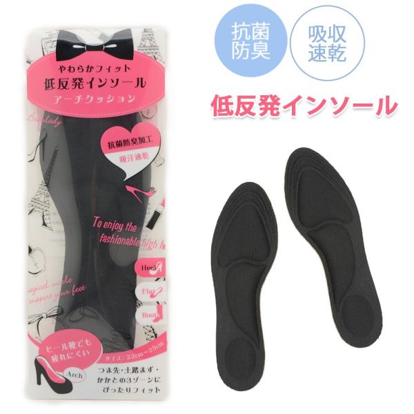 C\[ ~ fB[X t[TCY Ռz ᔽ z ɂȂ TCY R hL d ӂӂ V[YPA  { C