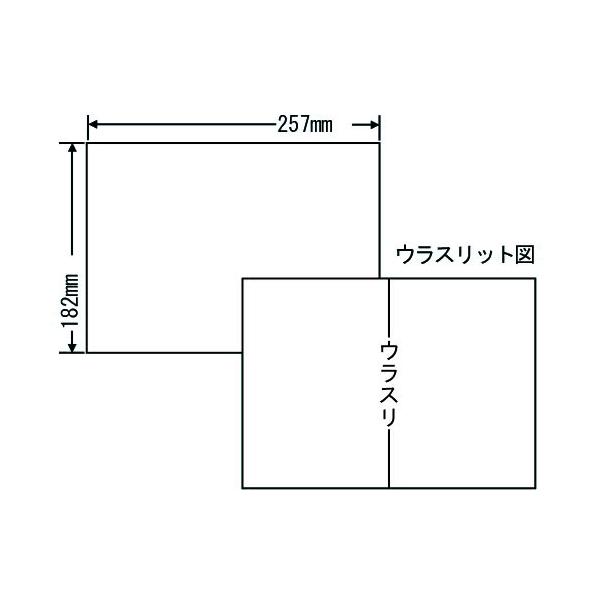 『代引不可』東洋印刷 ラベルシール nana 汎用タイプ B5 100シート×10 C1B5 ラベル ナナ ナナラベル 『返品不可』『日時指定不可』『送料無料(一部地域除く)』