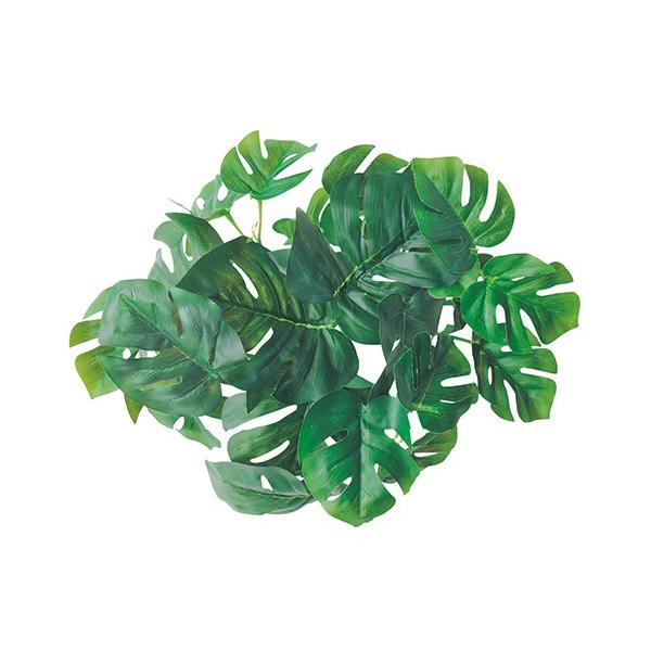 購入単位：1個配送種別：在庫品Yahoo 通販 ポピー マグプランツ ヒメモンステラ YYKDCMP002 ぽぴー ポピー POPI popi まぐぷらんつ マグプランツ MAGUPURANTSU magupurantsu ひめもんすてら ...