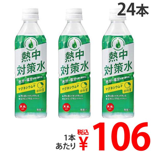 『お一人様1セット限り』『賞味期限：27.02.28』 熱中対策水 日向夏味 500ml 24本 赤穂化成