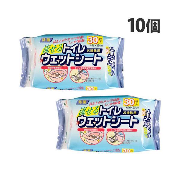 拭き上がりさっぱり清潔、しっかり除菌！購入単位：1セット(10個)配送種別：在庫品Yahoo 通販 4970190380700 SK7976 SQ058 アズマ工業 トイレ用ウェットシート 30枚入×10個 アズマコウギョウ あずまこうぎょ...