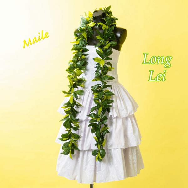 カヒコなどのフラには欠かせないマイレのオープンレイです。ポリエステル製で全長約170cmのロングタイプです。ハワイでは、マイレは神が宿る神聖な葉とされており、フラだけでなく、結婚式などの儀式などでも用いられます。