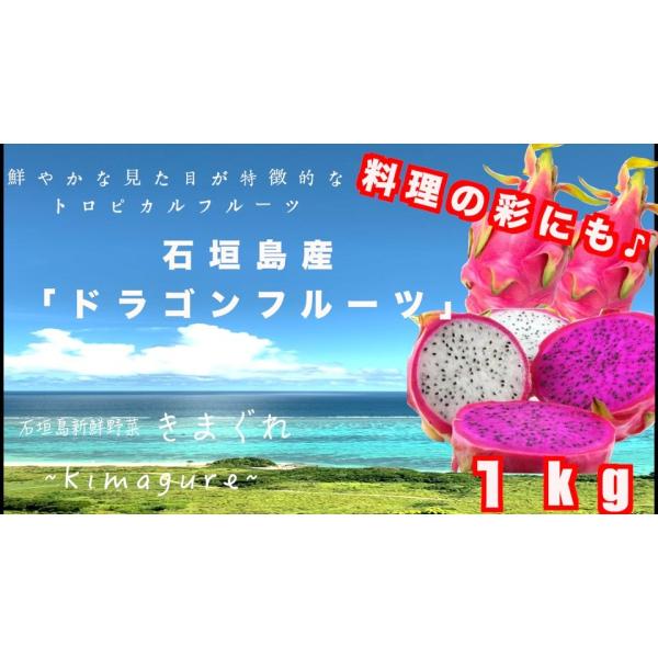 見るからに南国のフルーツらしいドラゴンフルーツサラダの彩りにも良し、そのまま食べても良しの万能フルーツ中玉程度のサイズ感です♪