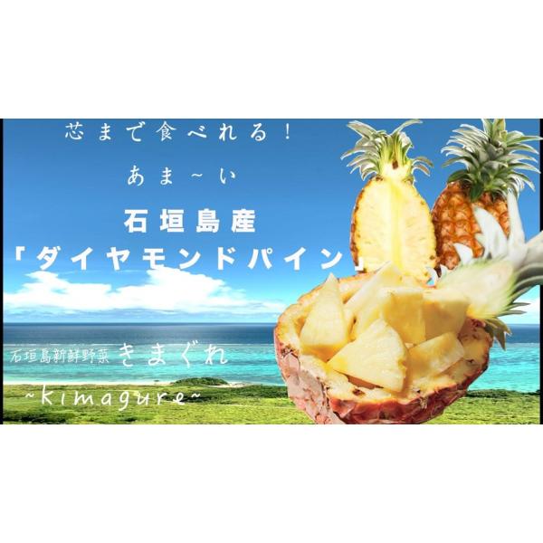 石垣島産「芯まで食べれる！ダイヤモンドパイン」規格外サイズ
