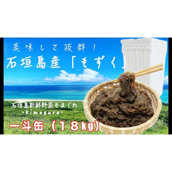 石垣島産「もずく」一斗缶(18kg)