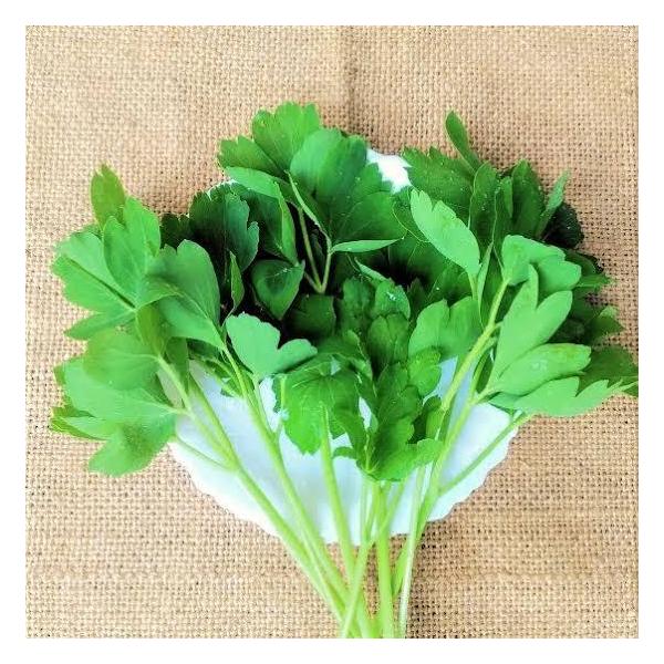 石垣島産「長命草」1束