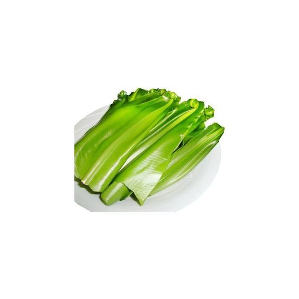 石垣島産「オオタニワタリ」