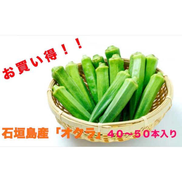採れたて新鮮なオクラをまとめてお得に販売中♪♪宅急便コンパクト1箱にまとめて発送致します！その他商品と一緒に購入された場合または宅急便コンパクトに収まらない場合は別途送料を頂く場合がございますのでご理解の程宜しくお願い致します！内容量→40...