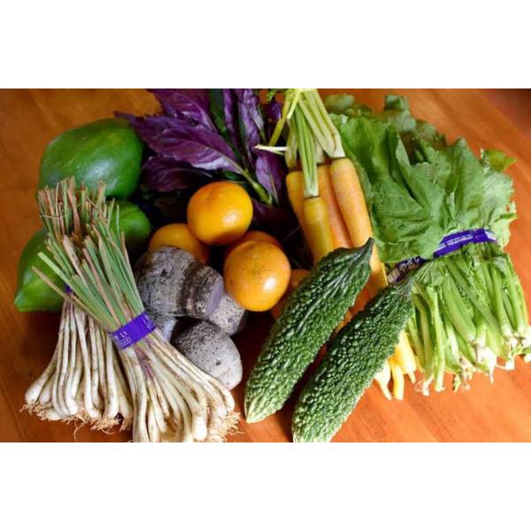 温暖な気候と太陽光をたっぷり浴びた石垣島産の新鮮な野菜・果物を出荷日の朝イチで収穫し詰め合わせにて発送いたします。全て安心・安全な食材なので健康になりたい方には特にオススメですよ♪♪6~8種類の野菜を詰め合わせてお送り致します♪