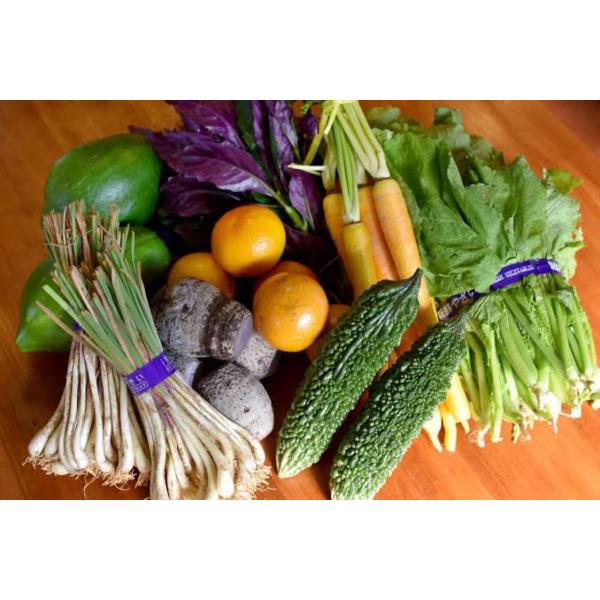 温暖な気候と太陽光をたっぷり浴びて育った野菜・果物を出荷日の朝イチで収穫し新鮮な状態で発送致します安心・安全な食材のみを厳選していますのでとても健康に良いですよ♪♪4~5種類の野菜を詰め合わせてお送り致します♪