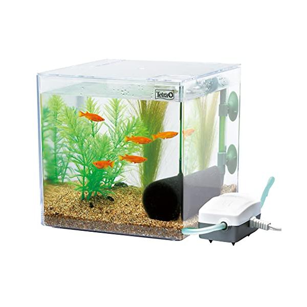 他サイト： テトラ (Tetra) 水槽 メダカを育てよう PL-17KB 水槽 アクアリウムの商品画像