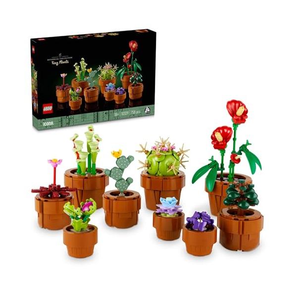 観葉植物セット その他観葉植物